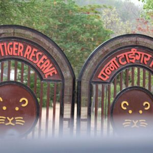 Tiger Reserve Main Gate